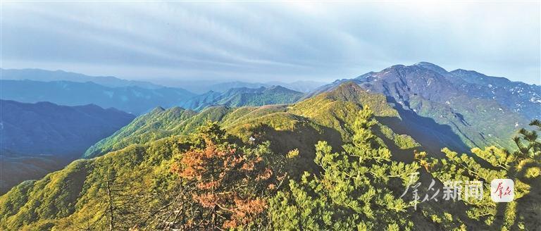 绿意盎然的秦岭牛背梁(资料照片)。牛背梁国家森林公园供图