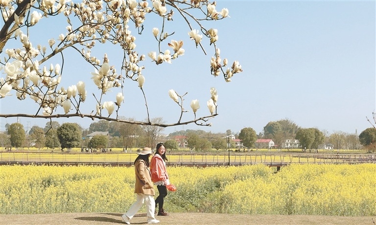花海醉游人（图）