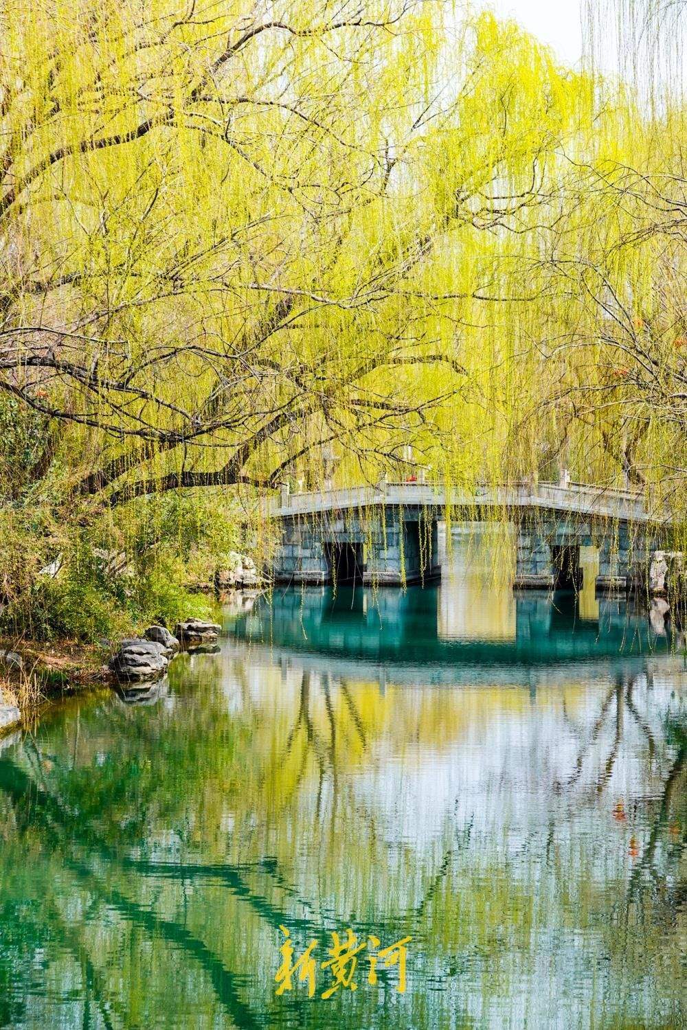 一年四季 泉在济南丨大明湖柳绿天蓝春意浓，汉服少女打卡定格春日美景