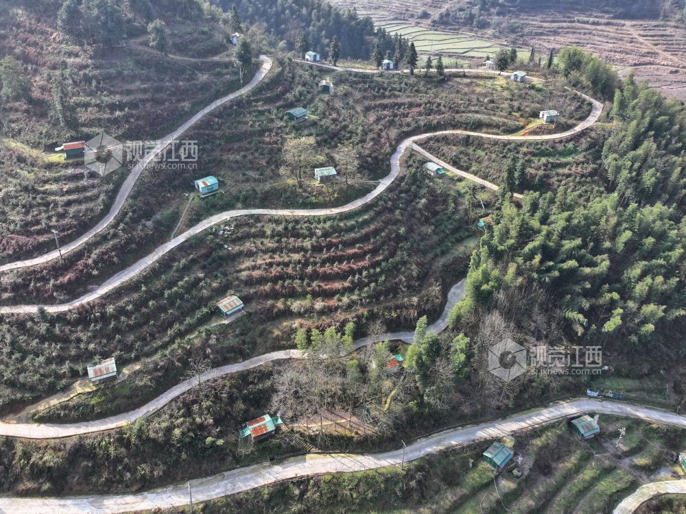 江西芦溪：发展蛋鸡养殖 助力乡村振兴（图）