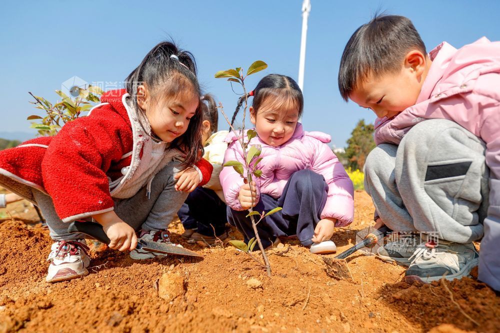 江西峡江：春来植树添新绿（图）