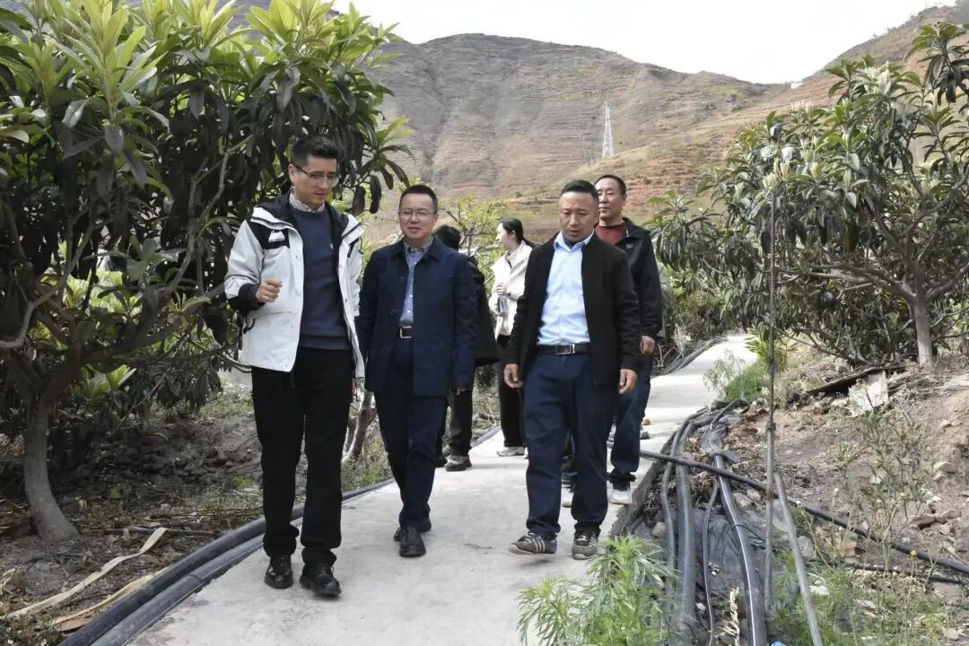 现场捐赠物资100万元！镇海区赴金阳精准推进东西部协作结对帮扶