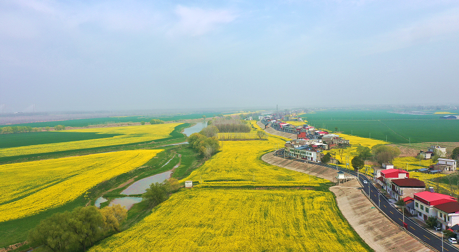 江西彭泽：春意盎然乡村美