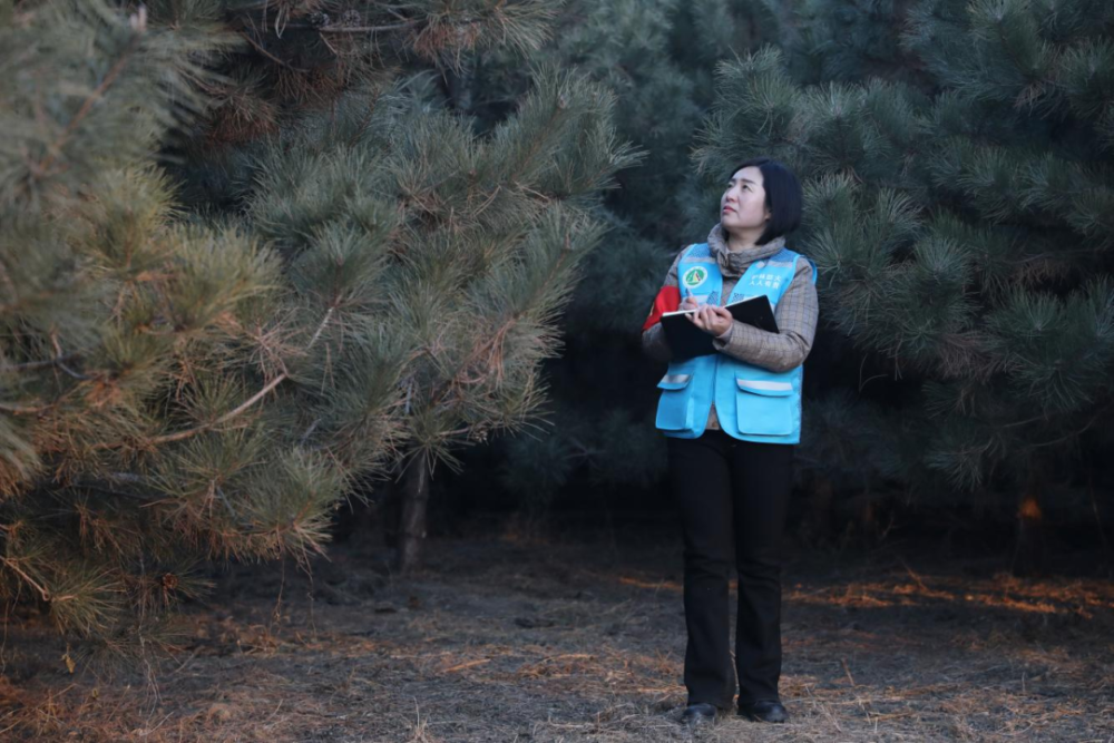 (图为2026年3月6日,护林员田秋艳巡查树木病虫害。《河北画报》供图)