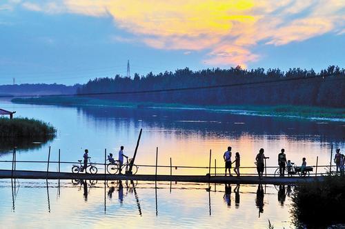 胜芳美景。 马万志摄