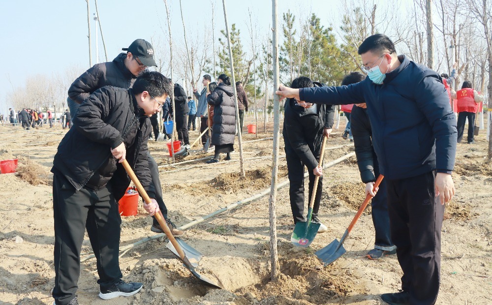 潍坊滨海区开展春季义务植树活动