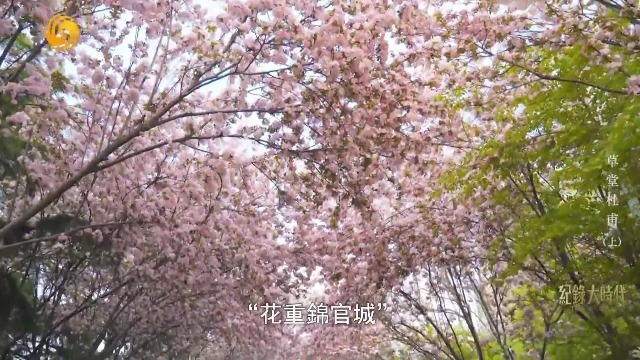 杜甫笔下的“花重锦官城”，成为成都最具代表性的城市形象