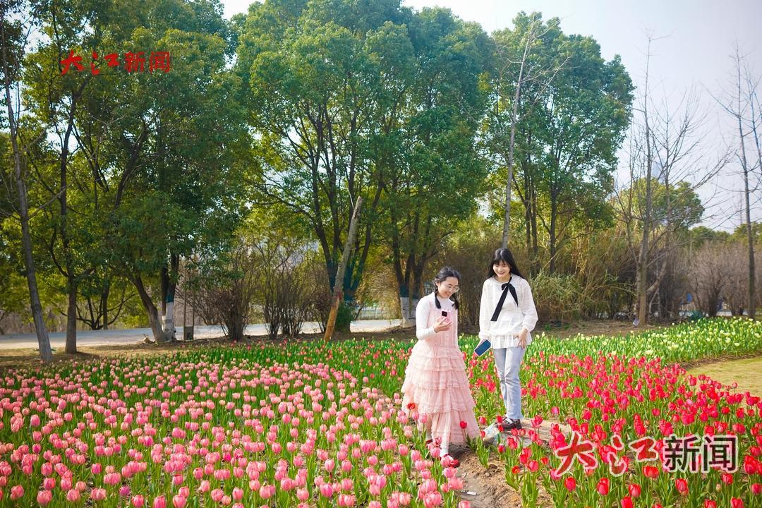 市民游客在马兰圩湿地公园内踏春赏花