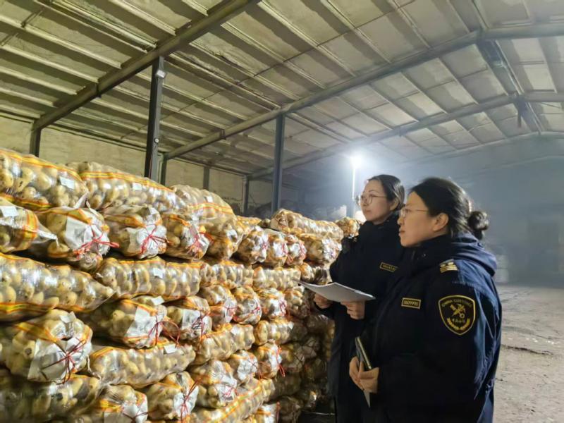 呼伦贝尔的土豆，出息了！