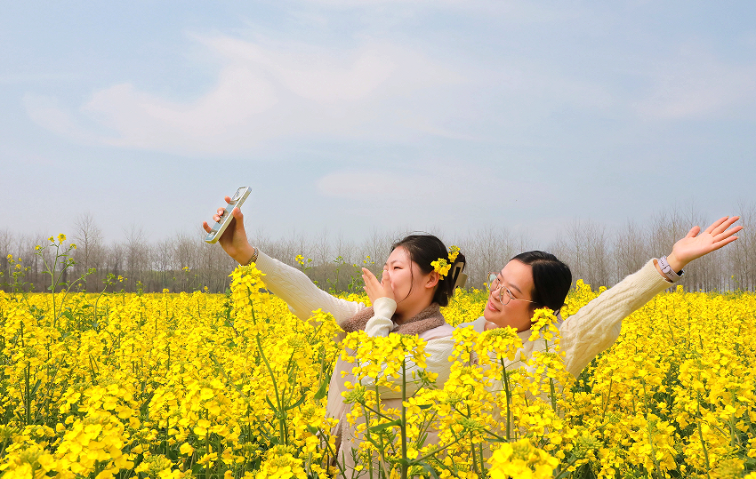 江西彭泽：春意盎然乡村美