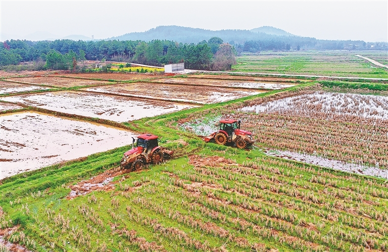 吉水县：抢抓农时春耕忙（图）