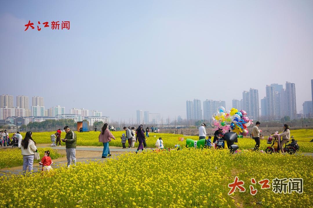 市民游客在马兰圩湿地公园内踏春赏花