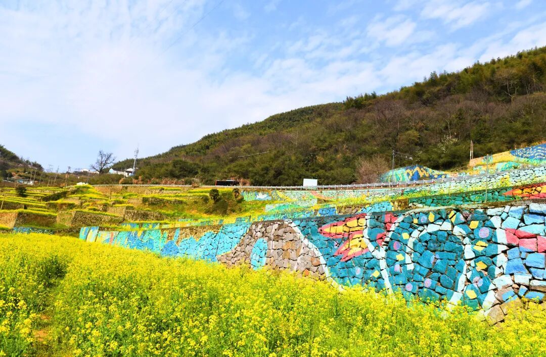 余姚這些金黃“出片地”即將頂流！快來交出你手機里的探春點位