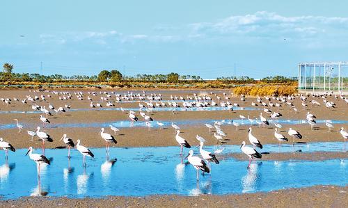 2025��11��4�գ�������ʪ�غ�����ʡ����Ȼ����������Ⱥ�Ķ�����������ʳ�� �������� �� ����