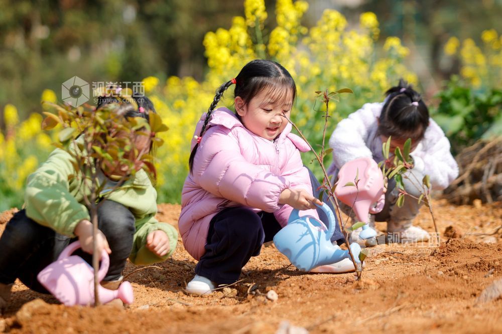 江西峡江：春来植树添新绿（图）