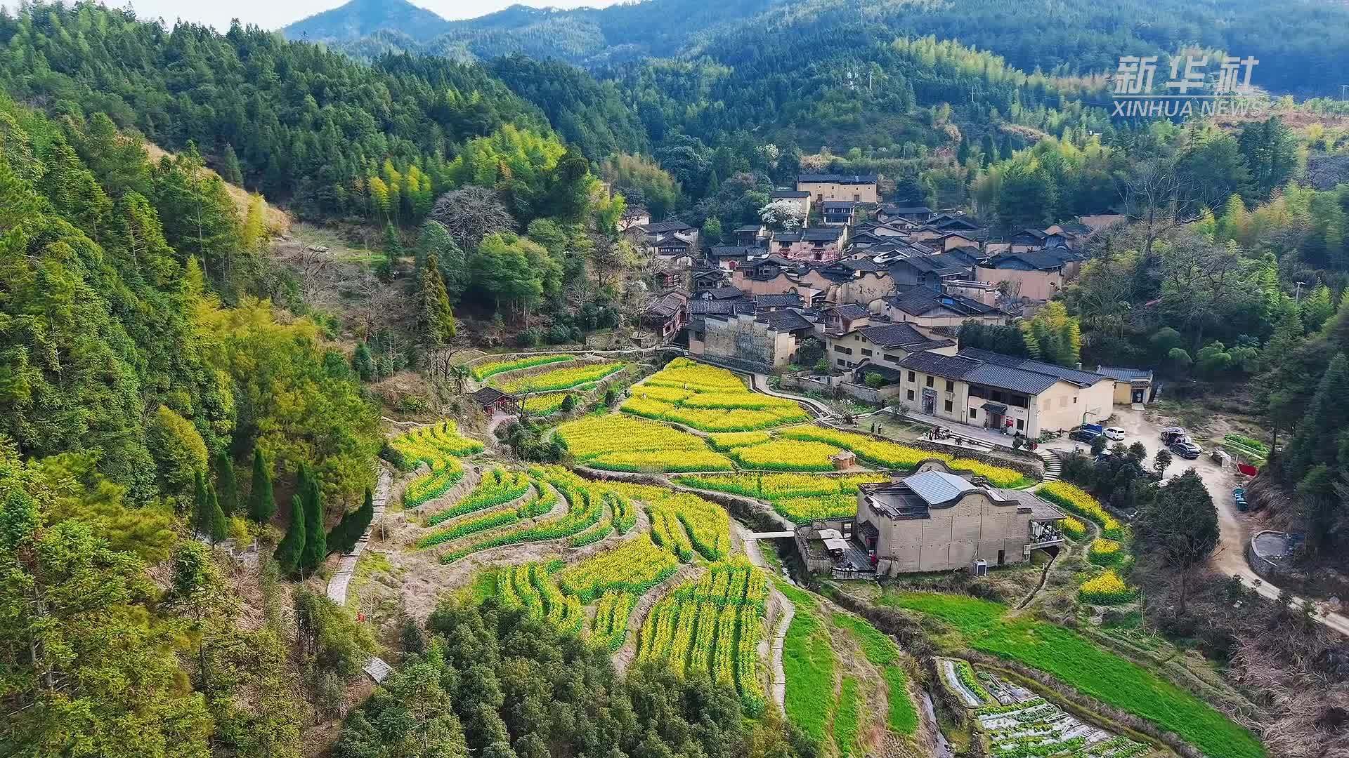 瞰中国｜福建屏南：厦地花开春意满