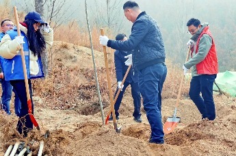 相约铁橛山 共植生态林——六汪镇开展植树节活动
