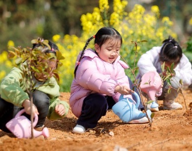 江西峡江：春来植树添新绿