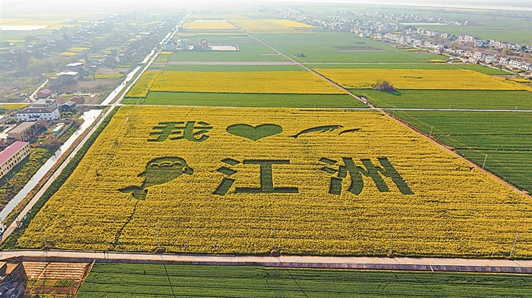 九江柴桑区：金色画卷（图）