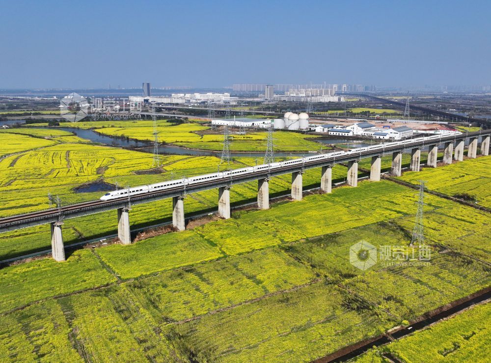 2026年3月12日,江西南昌县虎山村一带,昌福高铁沿线油菜花竞相绽放,一列重联动车组从油菜花田边驶过。