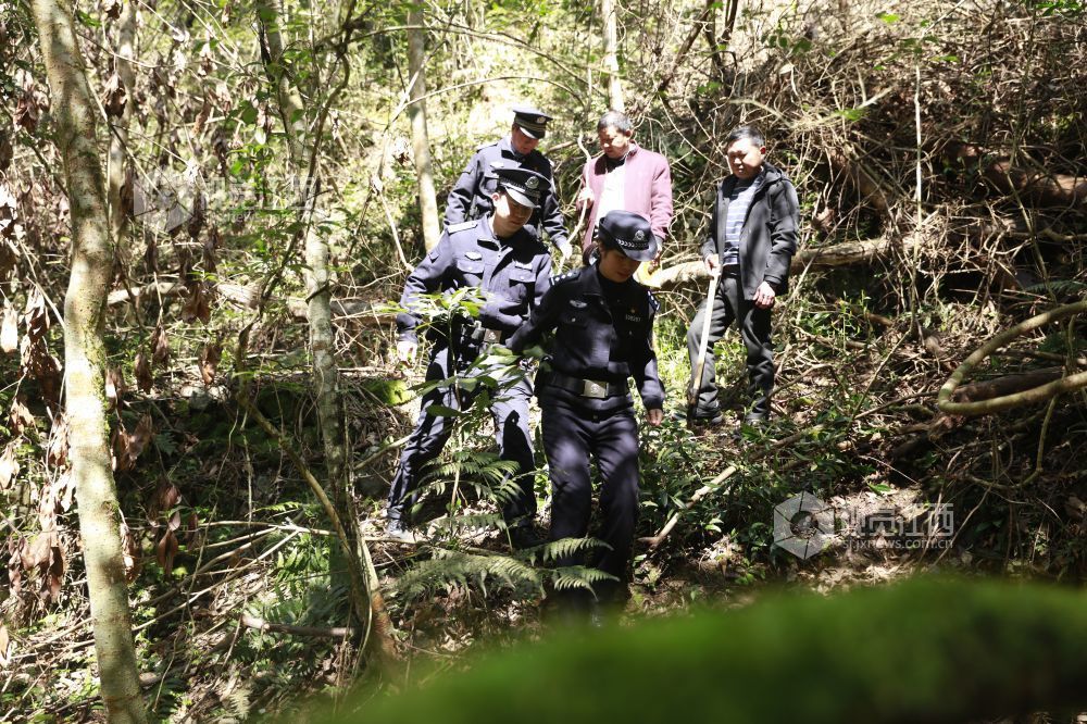 2026年3月11日，永丰县公安局环食药侦大队民警在水浆省级自然保护区开展常态化生态巡护，强化林区安全管控，守护野生动植物栖息环境。