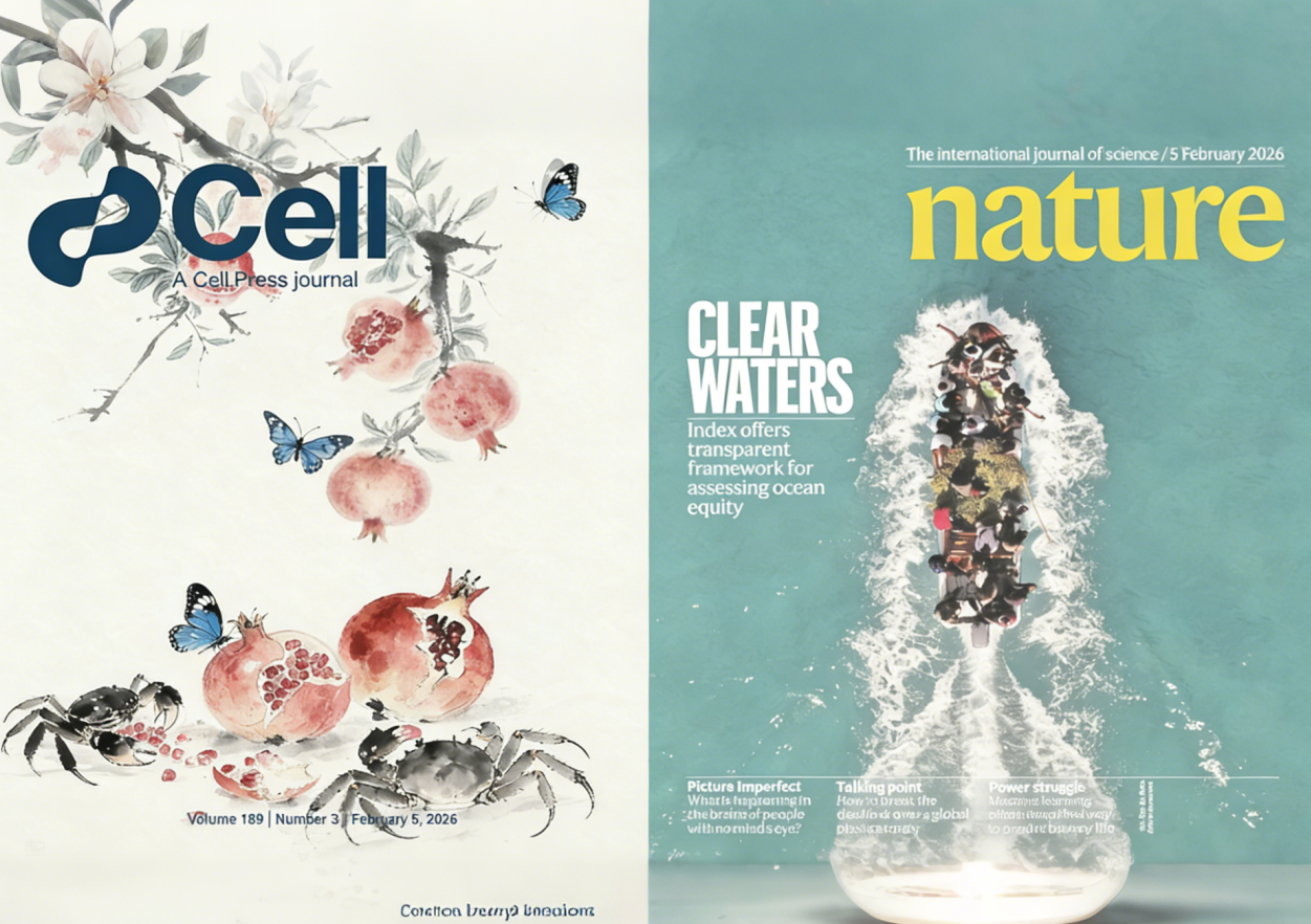 点击查看原始图片