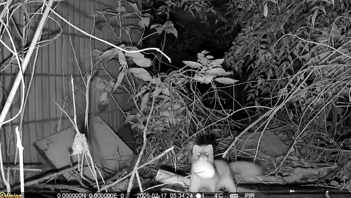 南京解锁校园生物多样性保护新方式