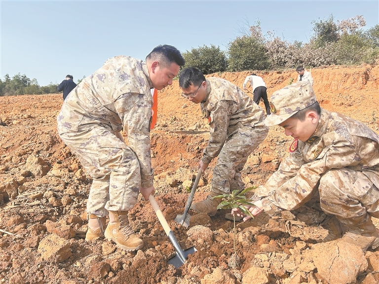 3月11日，奉新县澡下镇组织专武干部、巾帼志愿者开展义务植树活动。通讯员 蒋露娇摄