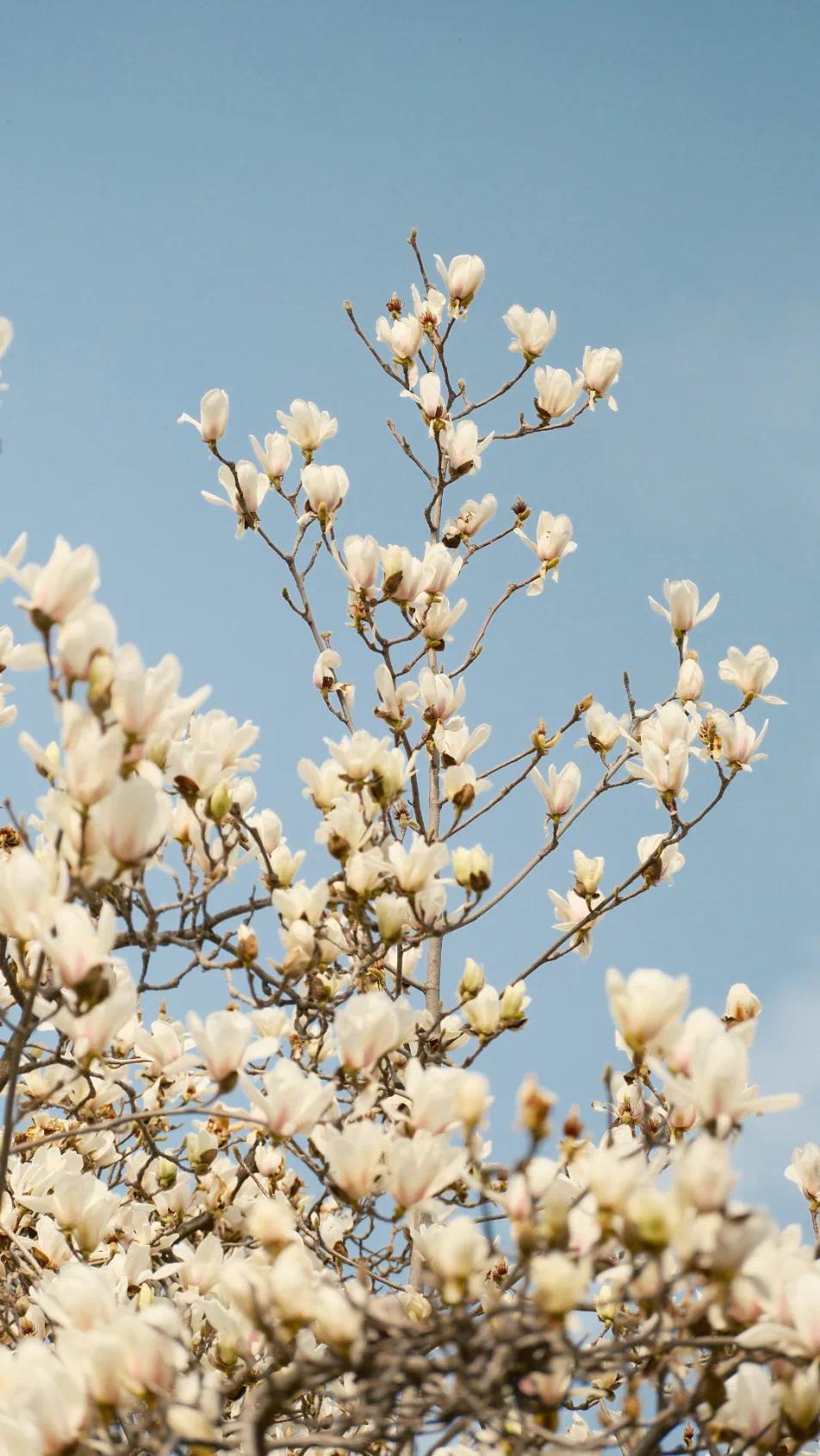 2026-03-03 155249.jpg