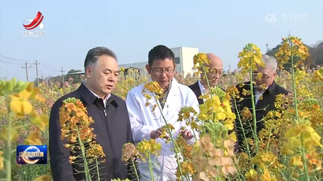 陈永奇在江西省农业科学院和江西农业大学调研