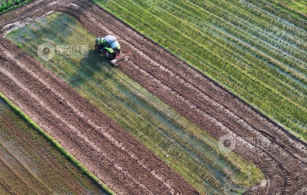 2026年3月10日，江西省吉安市泰和县万合镇高樟村，农民驾驶拖拉机正在翻耕整地。