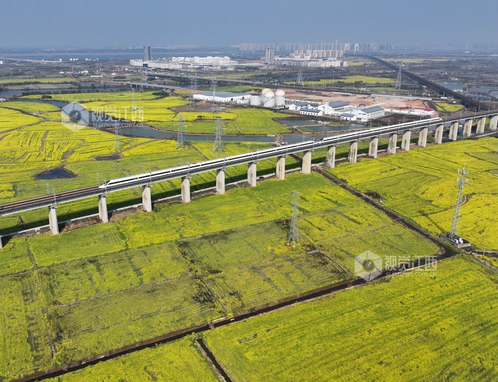 2026年3月12日,江西南昌县虎山村一带,昌福高铁沿线油菜花竞相绽放,一列重联动车组从油菜花田边驶过。