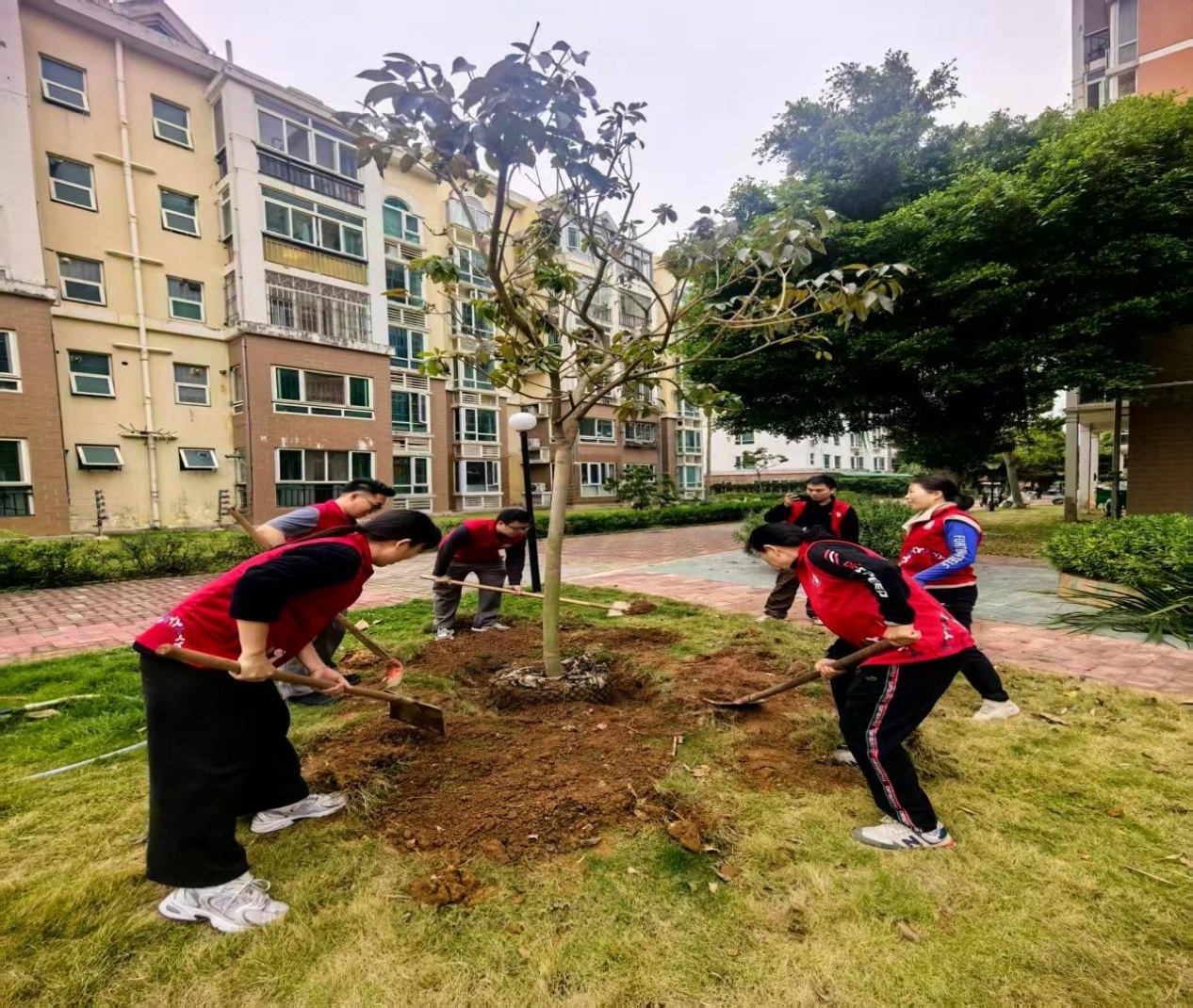 桃源添新绿・党群共植梦 ——桃源社区开展春季植树活动