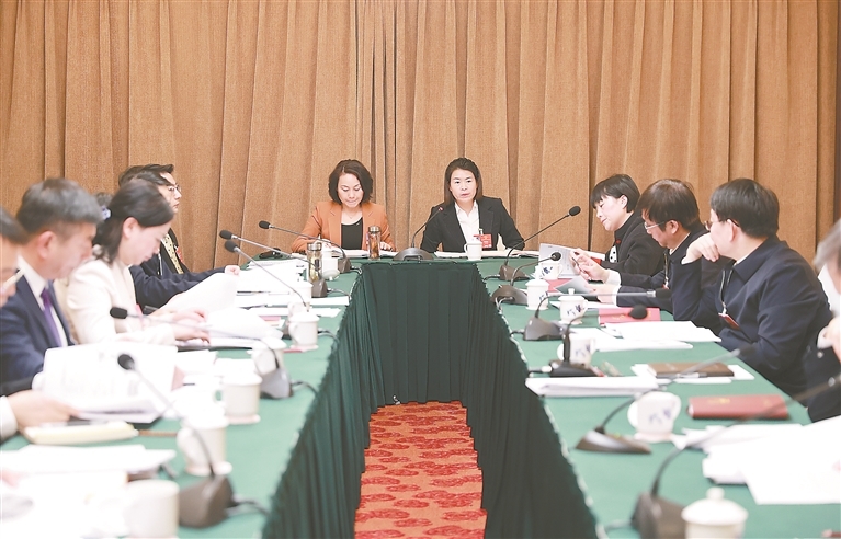 江西代表团分组审议“两高”工作报告（图）