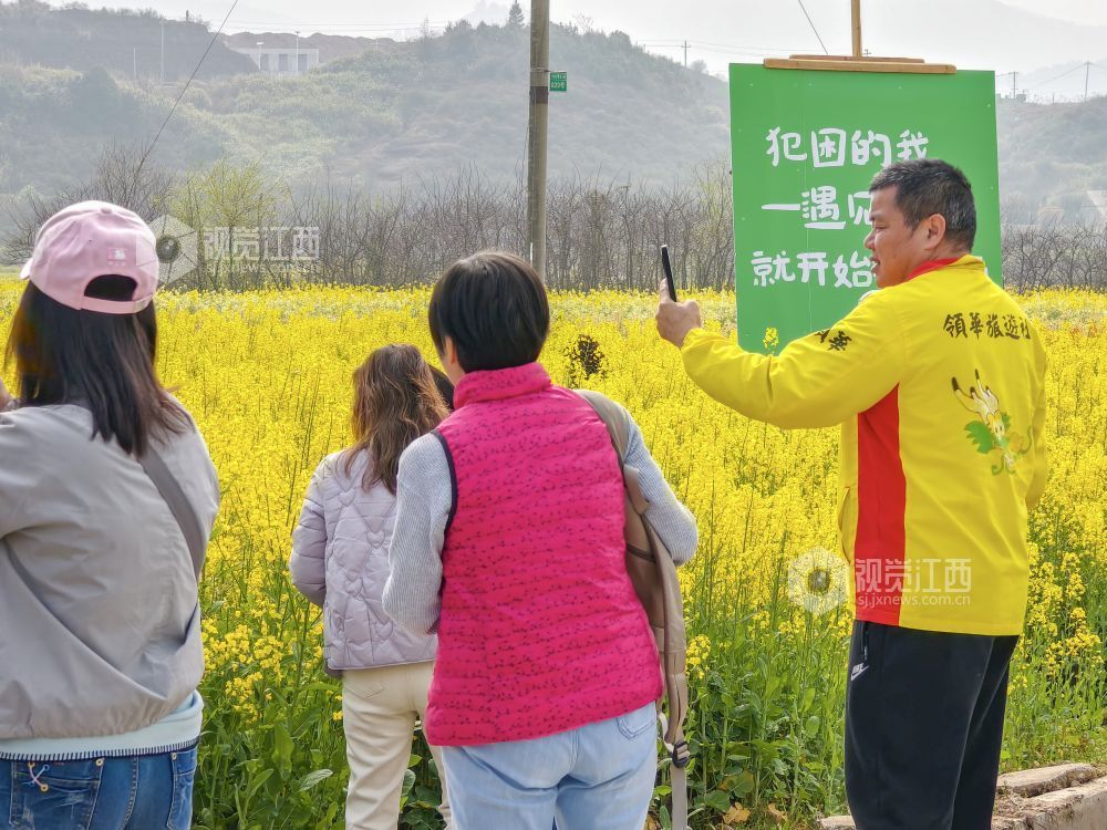 江西遂川：油菜花海笑迎“香港客”（图）