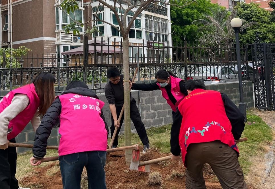 桃源添新绿・党群共植梦 ——桃源社区开展春季植树活动