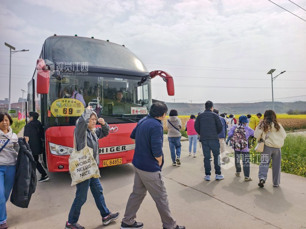 江西遂川：油菜花海笑迎“香港客”（图）