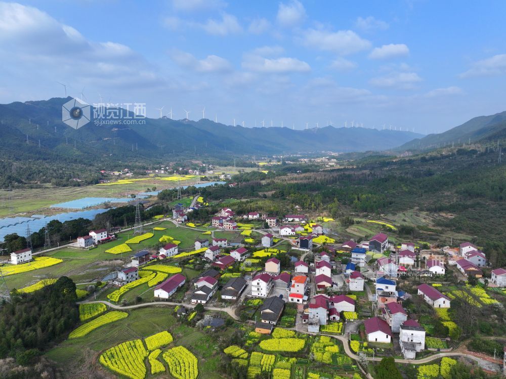 2026年3月6日，江西省吉安市泰和县水槎乡新桥村一带，油菜花田与大山、农舍相映成景，生态山乡风景独好。