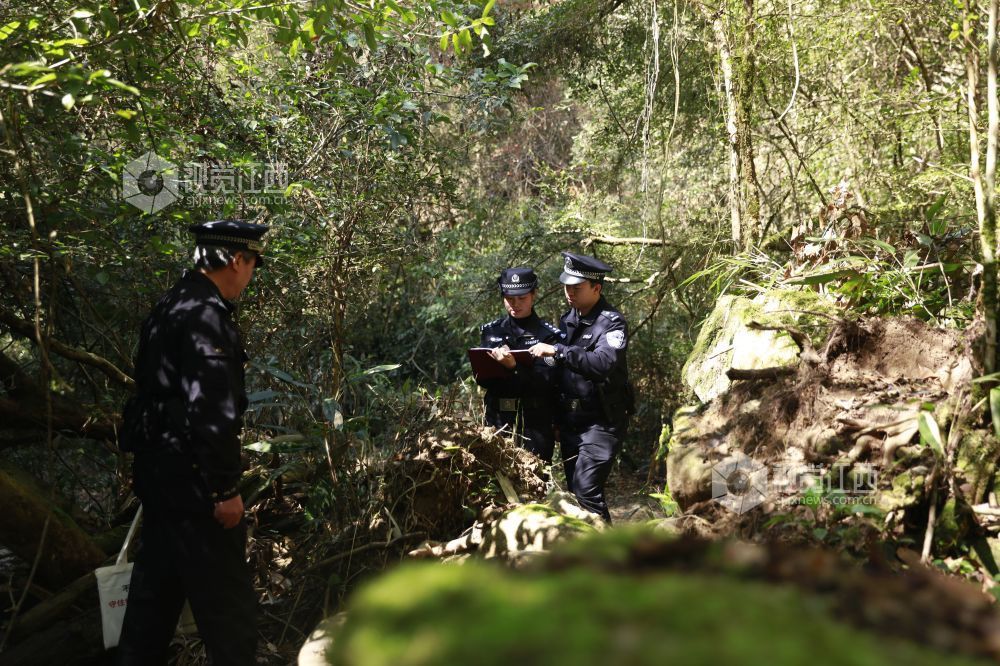 2026年3月11日，永丰县公安局环食药侦大队民警对辖区古树名木开展常态化巡查，对自然枯死的古树名木逐一核查、登记建档。