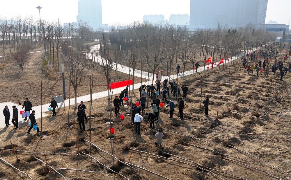 潍坊滨海区开展春季义务植树活动