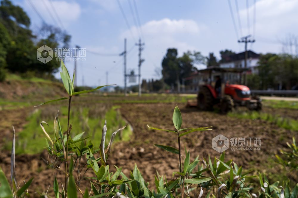 江西分宜：抢抓农时忙春耕（图）
