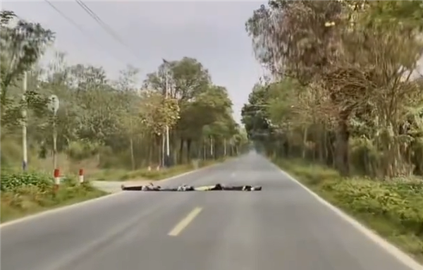 小鹏辅助驾驶突然触发减速绕行 车主接管靠近一看冷汗直流