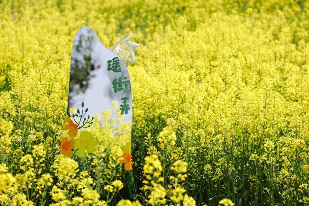 余姚這些金黃“出片地”即將頂流！快來交出你手機里的探春點位