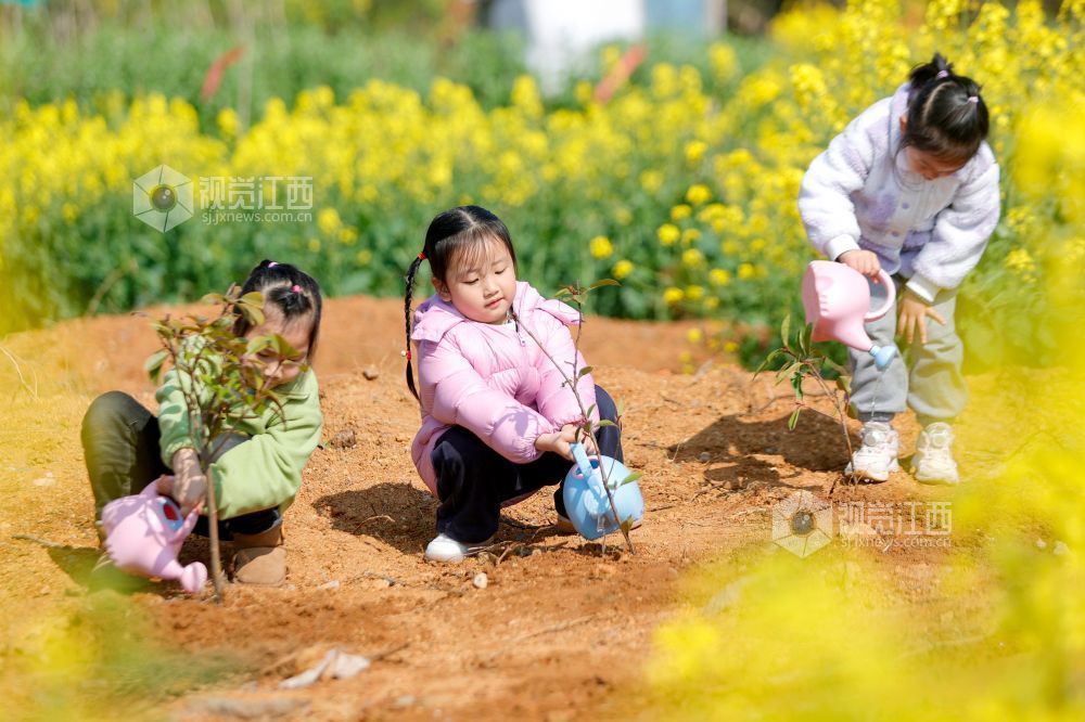 江西峡江：春来植树添新绿（图）