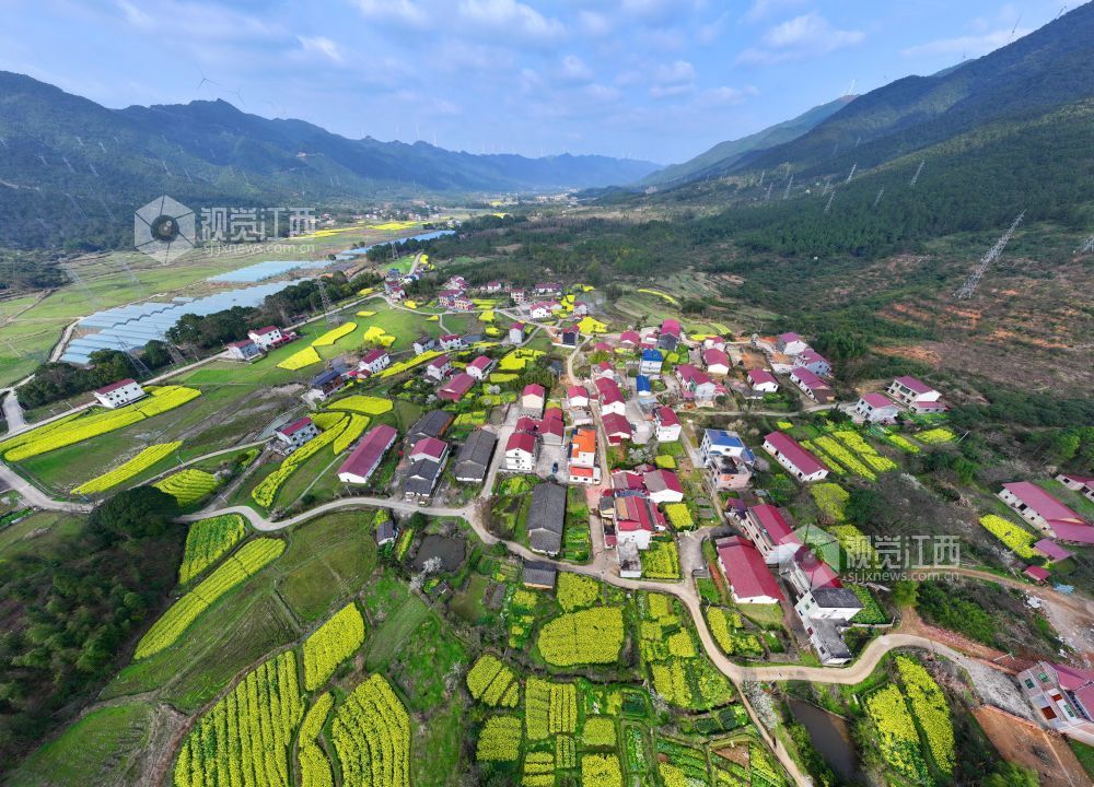 2026年3月6日，江西省吉安市泰和县水槎乡新桥村一带，油菜花田与大山、农舍相映成景，生态山乡风景独好。