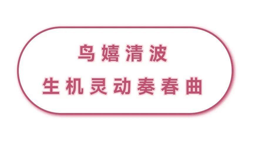 大明湖的碧波之上