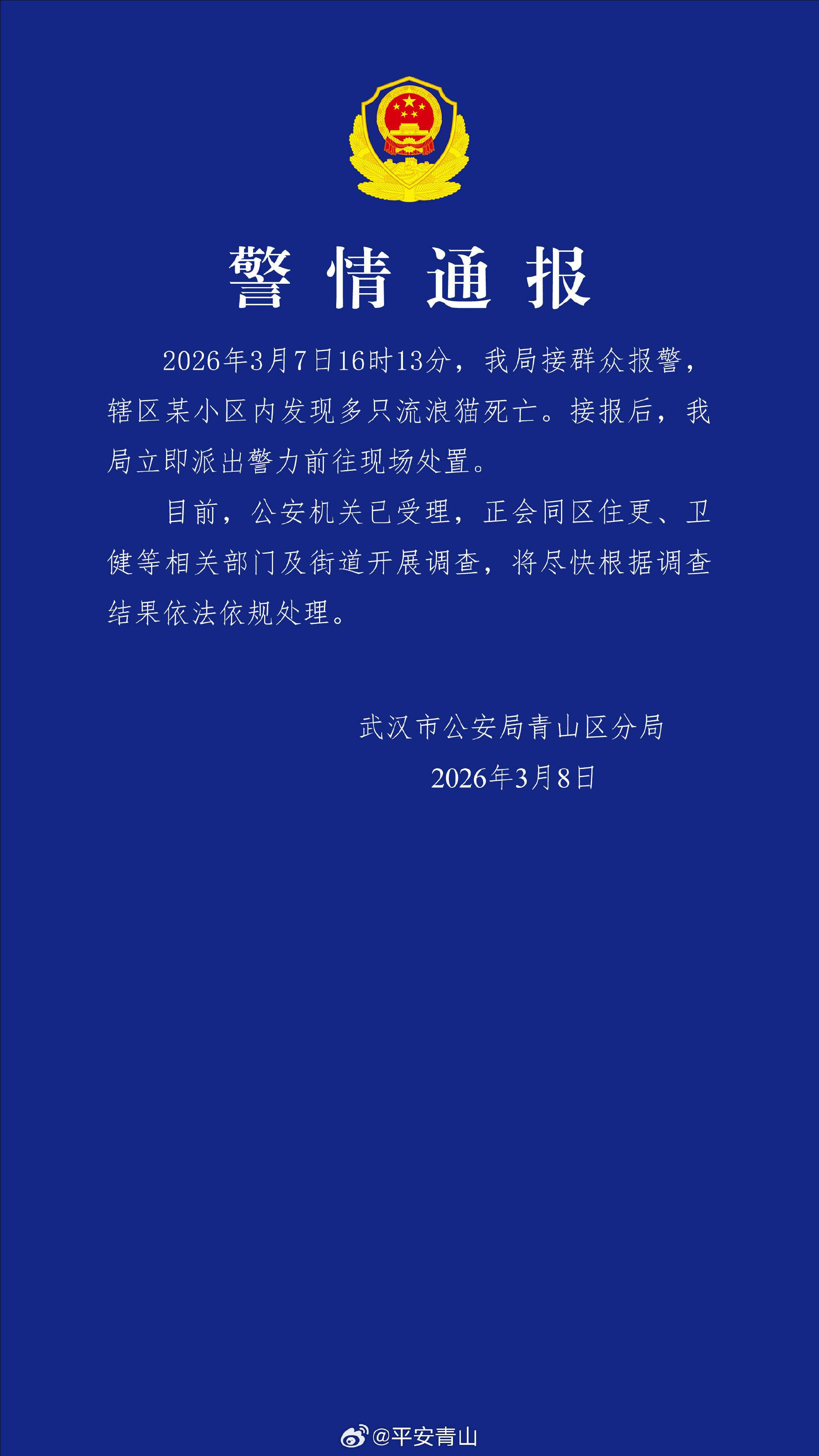 武汉一小区内多只流浪猫死亡 官方通报