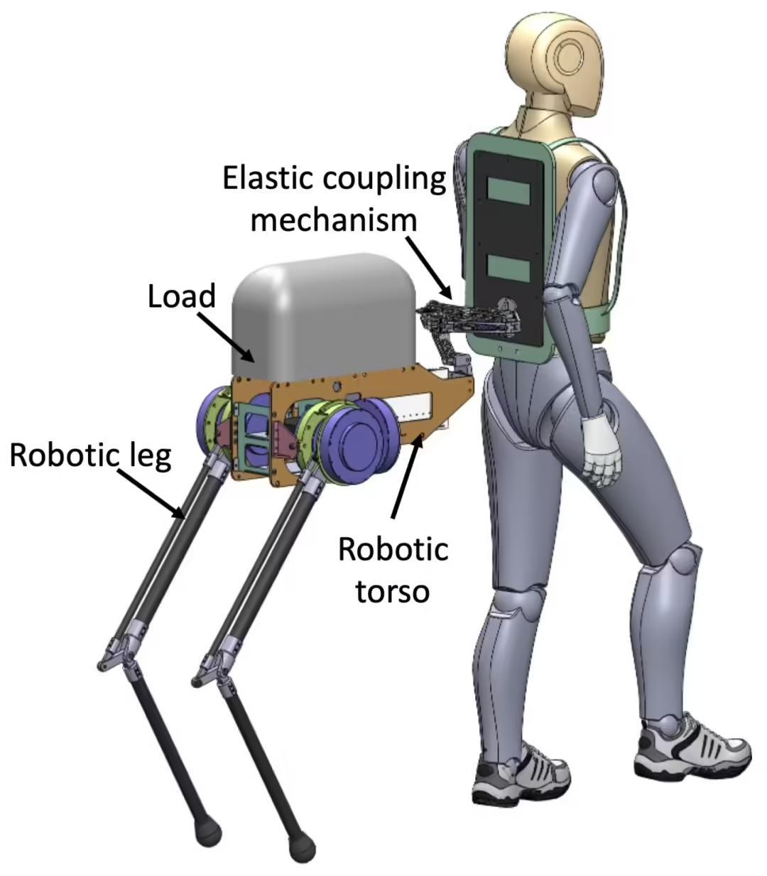南方科技大学团队研发出“半人马机器人”,与人连接组成“负重搭子”