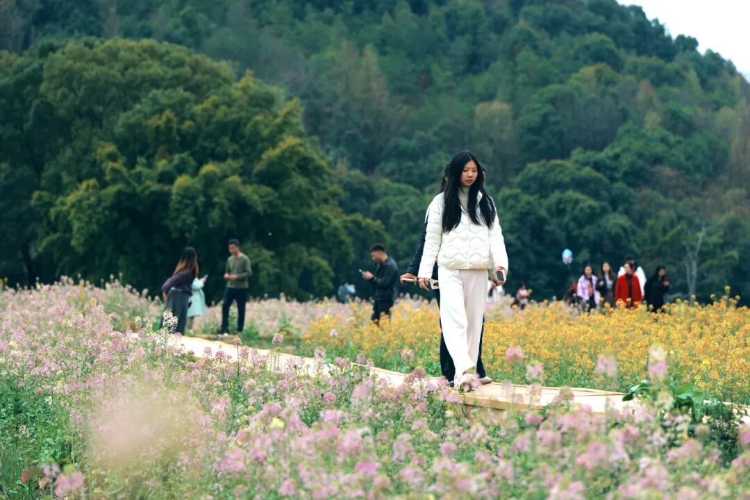 市民游客漫步在蜿蜒的赏花小径上。钟观连摄.jpg