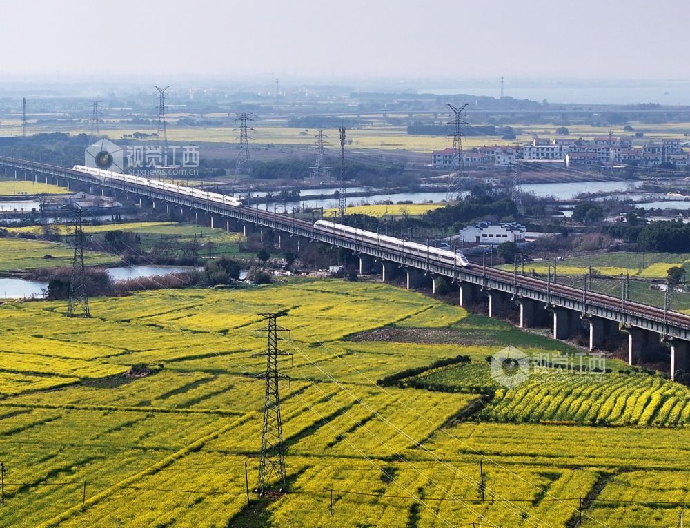 2026年3月12日,江西南昌县虎山村一带,昌福高铁沿线油菜花竞相绽放,两列动车组正在交会。